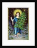 A Merry Christmas to You Postcard with an Angel Holding a Christmas Tree by Anonymous