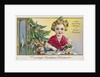Loving Christmas Wishes: I Hope Your Family Will Have a Merry Christmas Postcard by Anonymous