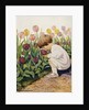 Illustration of a Child Smelling Tulips by Jessie Willcox Smith