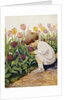 Illustration of a Child Smelling Tulips by Jessie Willcox Smith