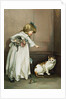 Illustration of a Little Girl Scolding a Cat by Anonymous