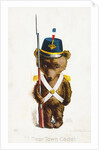 A Bear Town Cadet. Postcard by Rose Clark