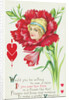 Would You be Willing to See a Miss if You Saw Her Face in a Flower Like This? Postcard by Anonymous