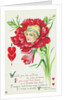 Would You be Willing to See a Miss if You Saw Her Face in a Flower Like This? Postcard by Anonymous
