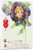 To be a Purple Pansy May Not Suit Your Girlish Fancy Postcard by Anonymous