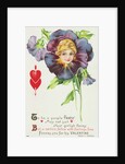 To be a Purple Pansy May Not Suit Your Girlish Fancy Postcard by Anonymous