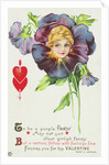 To be a Purple Pansy May Not Suit Your Girlish Fancy Postcard by Anonymous