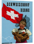 Schweizerhof Berne, Switzerland Luggage Label by Anonymous