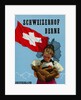 Schweizerhof Berne, Switzerland Luggage Label by Anonymous