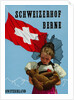 Schweizerhof Berne, Switzerland Luggage Label by Anonymous