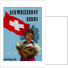 Schweizerhof Berne, Switzerland Luggage Label by Anonymous