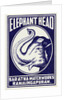 Elephant Head Matchbox Labels by Anonymous