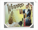 Wizard Trade Card by Anonymous
