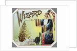 Wizard Trade Card by Anonymous