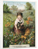 Edwin C. Burt & Co., Manufacturers of Fine Shoes, New York Trade Card by Anonymous