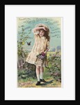 Hoyt's German Cologne Trade Card with a Girl and Butterflies by Anonymous