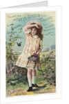 Hoyt's German Cologne Trade Card with a Girl and Butterflies by Corbis