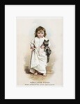 Mellin's Food for Infants and Invalids Trade Card by Anonymous