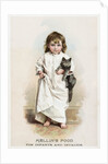 Mellin's Food for Infants and Invalids Trade Card by Anonymous