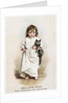 Mellin's Food for Infants and Invalids Trade Card by Anonymous