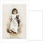 Mellin's Food for Infants and Invalids Trade Card by Anonymous