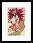Christmas Wishes Postcard of a Woman and a Poinsettia by Anonymous