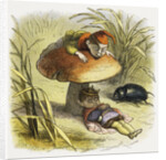 The Elf-King Asleep Illustration by Richard Doyle