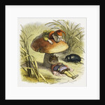 The Elf-King Asleep Illustration by Richard Doyle