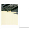 Rocks and Sand by Anonymous