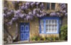 Wisteria-Covered Cottage by Anonymous