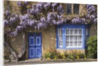 Wisteria-Covered Cottage by Anonymous