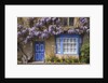 Wisteria-Covered Cottage by Anonymous