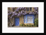 Wisteria-Covered Cottage by Anonymous