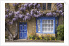 Wisteria-Covered Cottage by Anonymous