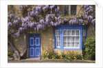 Wisteria-Covered Cottage by Anonymous