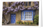 Wisteria-Covered Cottage by Anonymous