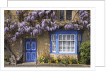 Wisteria-Covered Cottage by Anonymous