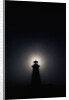 Lighthouse at Night in Peggy's Cove by Anonymous