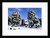 Snow Covered Church and Cemetery by Anonymous
