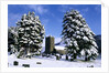 Snow Covered Church and Cemetery by Anonymous