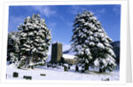 Snow Covered Church and Cemetery by Anonymous