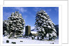 Snow Covered Church and Cemetery by Anonymous