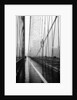 Brooklyn Bridge on Rainy Day by Anonymous