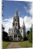 Saint Finbarr's Cathedral by Anonymous