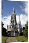 Saint Finbarr's Cathedral by Anonymous