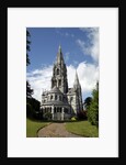 Saint Finbarr's Cathedral by Anonymous