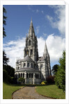 Saint Finbarr's Cathedral by Anonymous