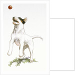 Darby Catching a Ball from Darby, the Special-Order Pup by Alexandra Day