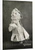 Leading Lady in Dogland-Linn's Famous Educated Dogs Postcard by Anonymous
