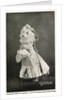 Leading Lady in Dogland-Linn's Famous Educated Dogs Postcard by Anonymous